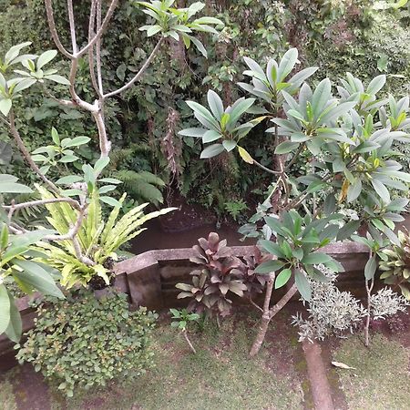 Dewi Ayu Accomodation Ubud Eksteriør billede