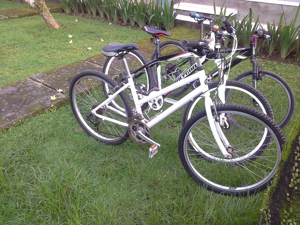Dewi Ayu Accomodation Ubud Eksteriør billede